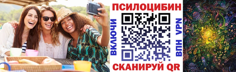 Псилоцибиновые грибы GOLDEN TEACHER  наркотики  MEGA tor  Туран 